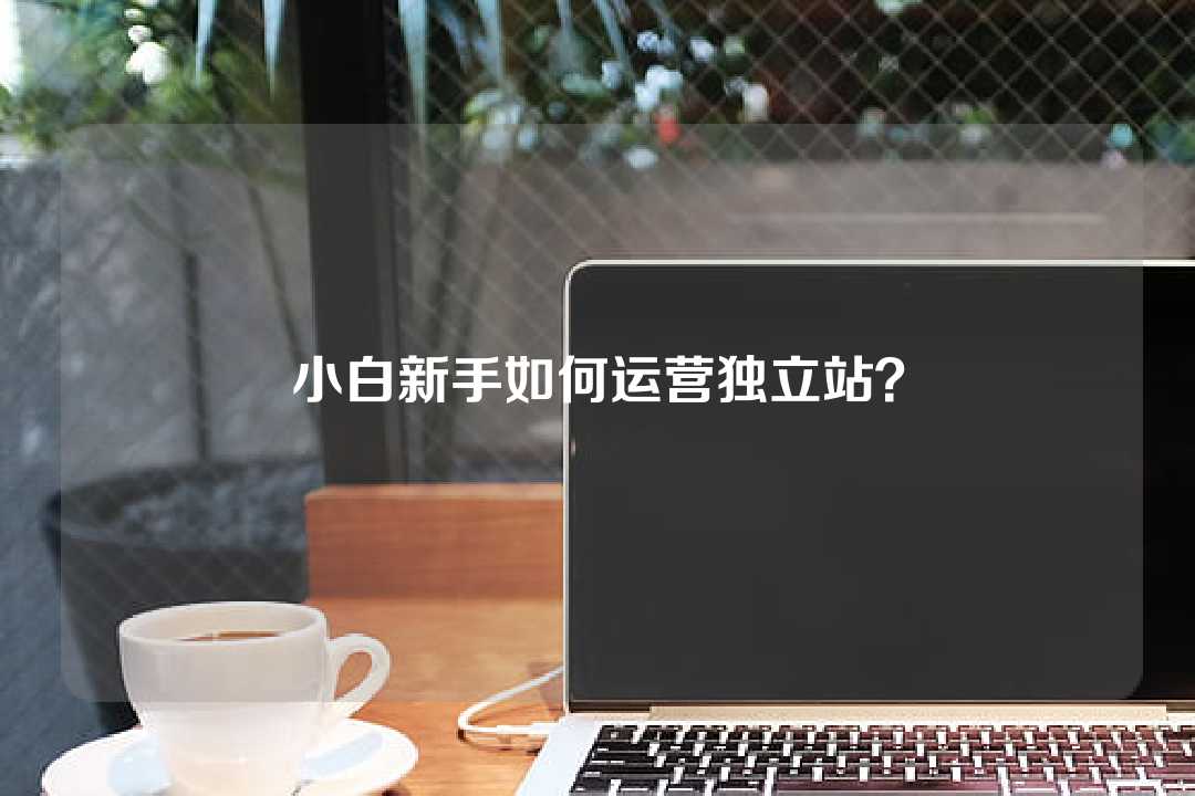 小白新手如何運(yùn)營(yíng)獨(dú)立站？