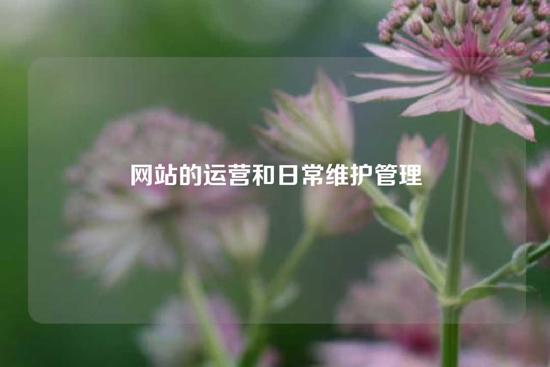 網(wǎng)站的運(yùn)營(yíng)和日常維護(hù)管理