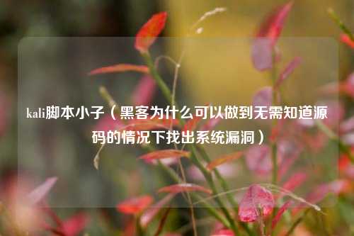 kali腳本小子（黑客為什么可以做到無(wú)需知道源碼的情況下找出系統(tǒng)漏洞）