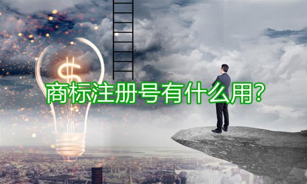 商標注冊號的用途有哪些？