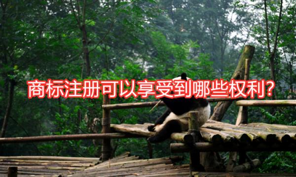 商標(biāo)注冊有哪些好處那些權(quán)利呢？
