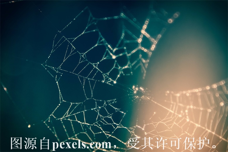 如何購(gòu)買域名、數(shù)據(jù)庫(kù)